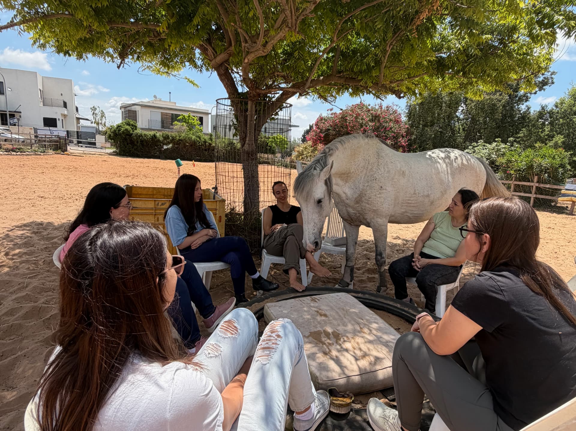 A group seated in a circle under the trees as a white horse leans in to greet them